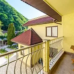 Budeanu 3* Брашов