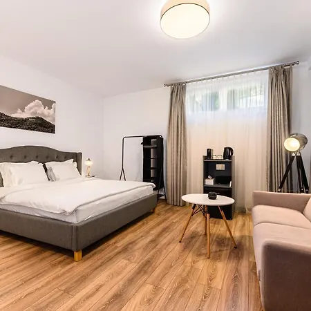 Residence Budeanu 招待所