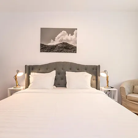 Residence Budeanu 招待所 布拉索夫