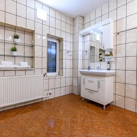 Residence Budeanu 3* 布拉索夫