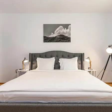 招待所 Residence Budeanu 3*