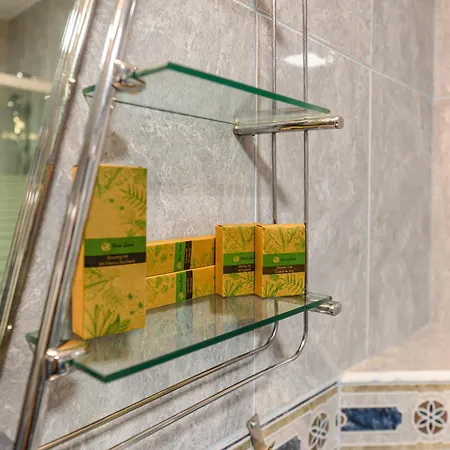 Residence Budeanu 招待所