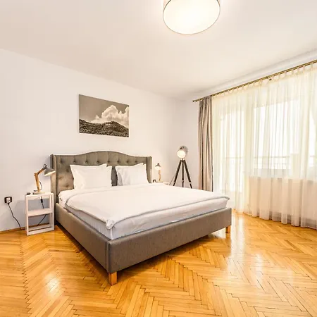 Residence Budeanu 招待所