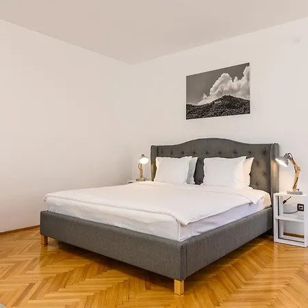 Residence Budeanu 招待所 3*