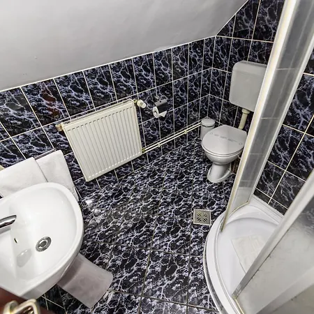 Residence Budeanu 3* 布拉索夫