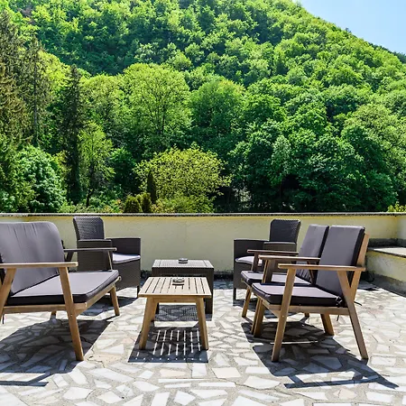 Residence Budeanu 招待所 3*