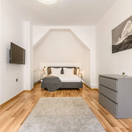 Residence Budeanu 招待所 3*