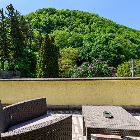 Residence Budeanu 招待所 布拉索夫