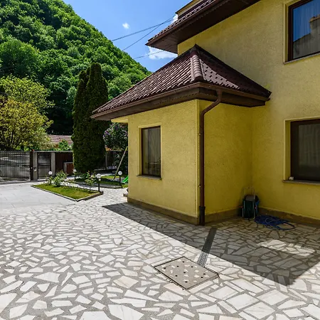 Residence Budeanu 招待所