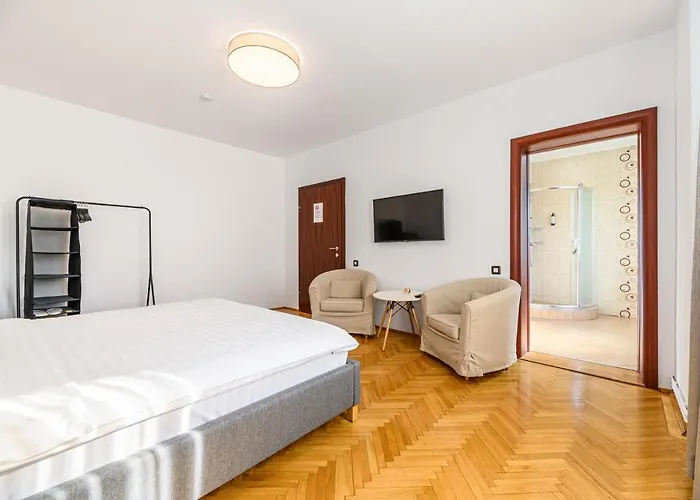 Guest house Budeanu 3*