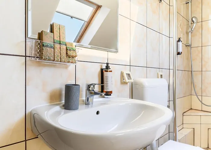 Budeanu Maison d'hôtes 3*