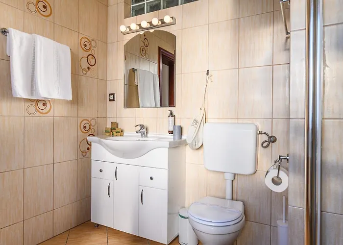 Guest house Budeanu 3*