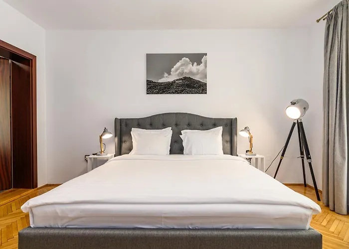 Guest house Budeanu 3*