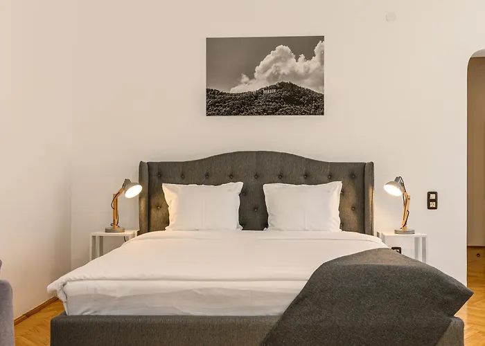 Guest house Budeanu 3*