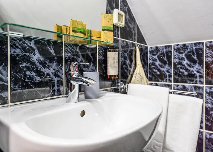 Guest house Budeanu Brasov