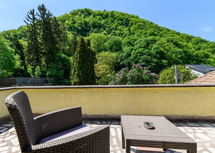 Budeanu Guest house Brasov