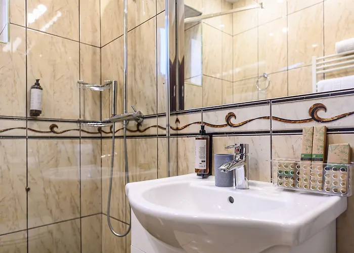 Maison d'hôtes Budeanu